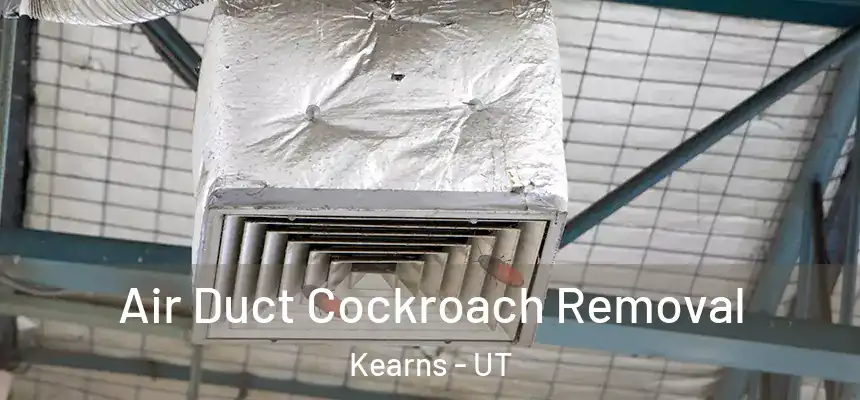  Air Duct Cockroach Removal Kearns - UT