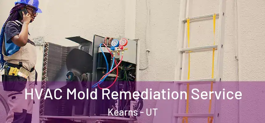 HVAC Mold Remediation Service Kearns - UT