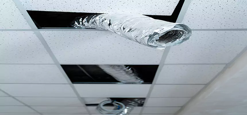 Our Air Duct Pet Hair Removal Services in Kearns, UT