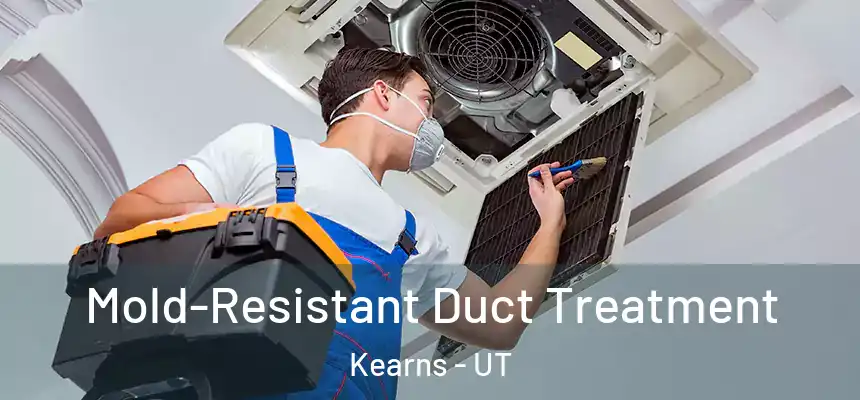  Mold-Resistant Duct Treatment Kearns - UT