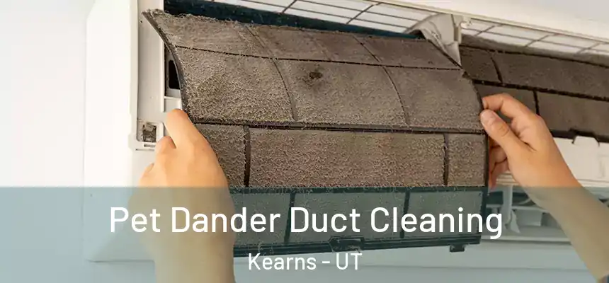  Pet Dander Duct Cleaning Kearns - UT