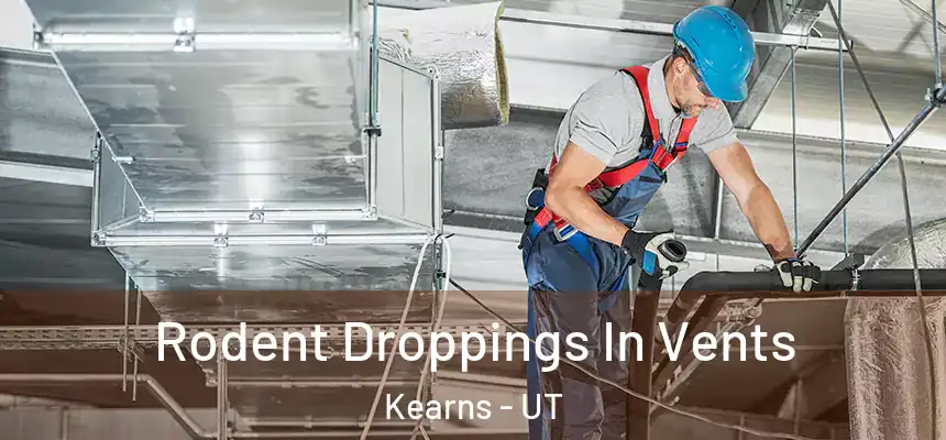  Rodent Droppings In Vents Kearns - UT