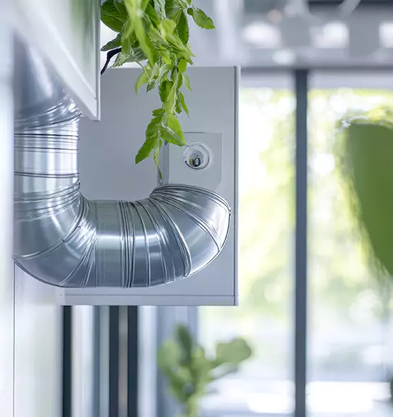 Professional Eco-Safe Dryer Vent Cleaning in Kearns, UT